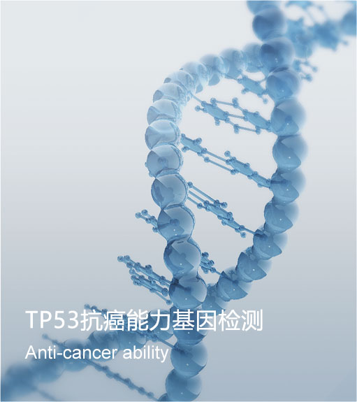 TP53抗癌能力基因檢測(cè)